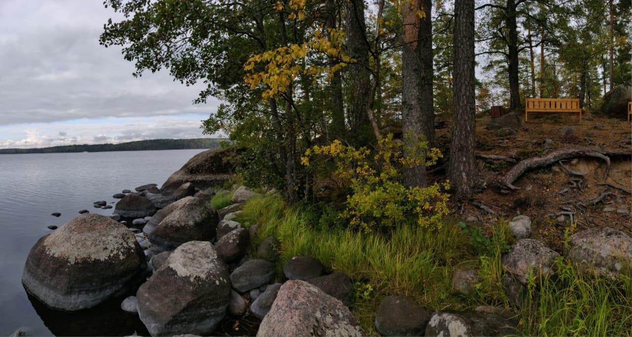 Купить Квартиру Приморский Район Выборгский Район