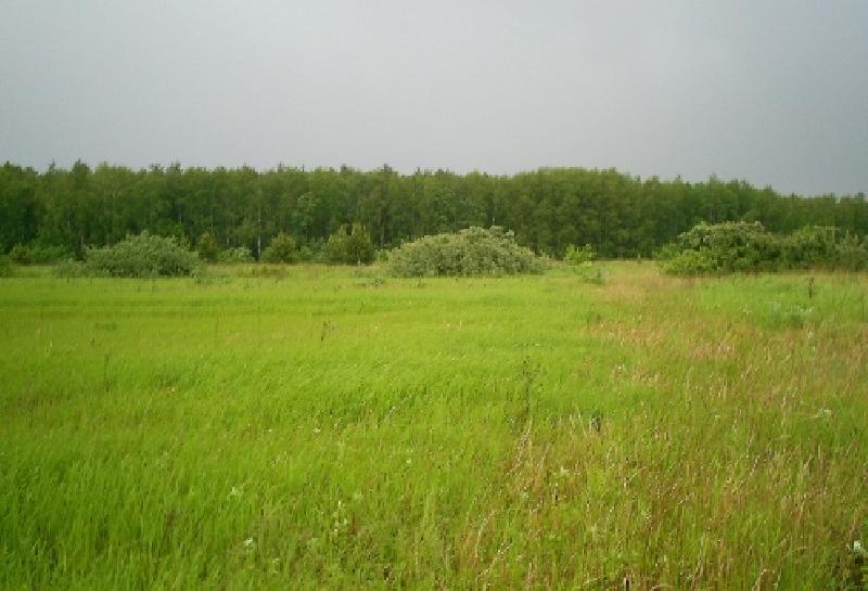 Купить Земельный Участок Под Вологдой