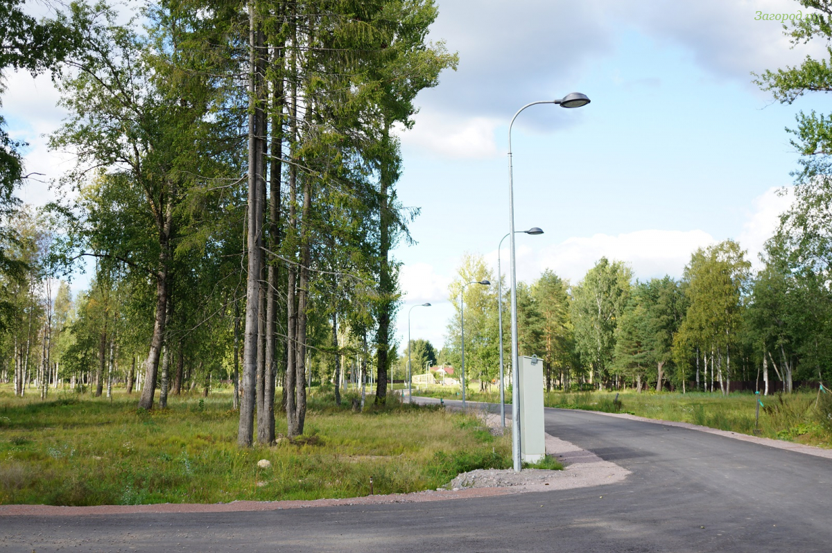 Купить Участок В Курортном Районе Спб